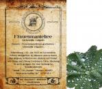 Frauenmantel-kraut-tee-bei-Kinderwunsch